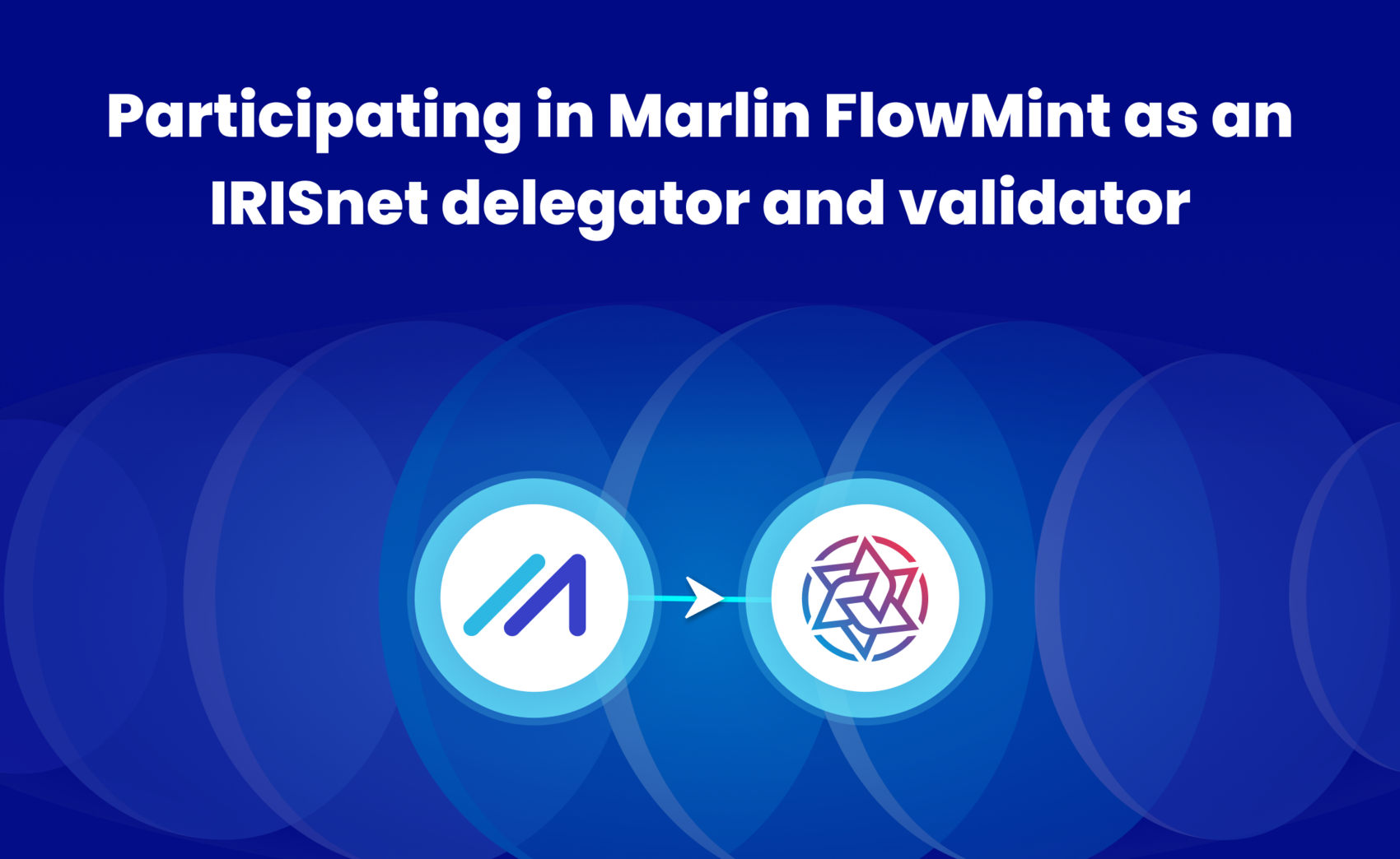 Participating in Marlin FlowMint as an IRISnet delegator and validator
