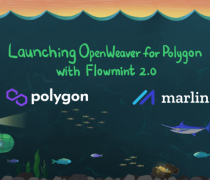 Launching OpenWeaver for Polygon with FlowMint 2.0