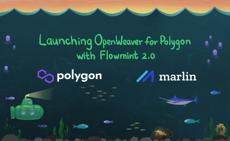 Launching OpenWeaver for Polygon with FlowMint 2.0