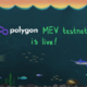 Polygon MEV testnet is live!