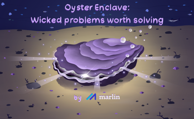 Oyster Enclave: Wicked problems worth solving