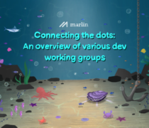 Connecting the dots: An overview of various dev working groups