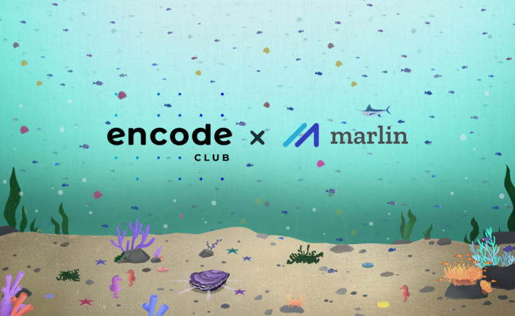 Discover Marlin Oyster through Encode Club’s bootcamps