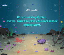 Benchmarking Oyster, the TEE-based crypto x AI coprocessor against zkML