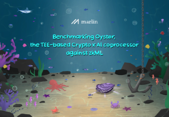 Benchmarking Oyster, the TEE-based crypto x AI coprocessor against zkML