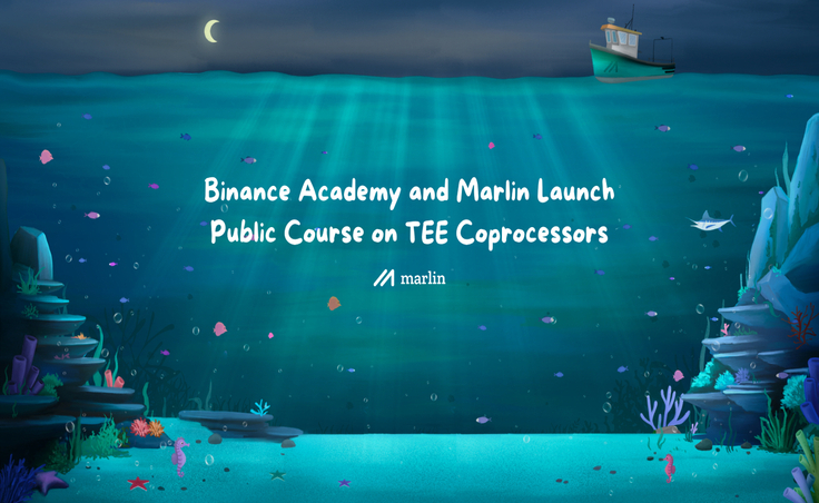 Binance Academy Marlin Blog